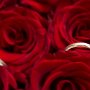 Professional Photographer for Weddings, Birthday Parties, Family Photoshoots and Corporate events. All shoots are done on location and I travel anywhere in the country. Visit www.photoswithdeon.co.za for more information