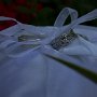 Professional Photographer for Weddings, Birthday Parties, Family Photoshoots and Corporate events. All shoots are done on location and I travel anywhere in the country. Visit www.photoswithdeon.co.za for more information